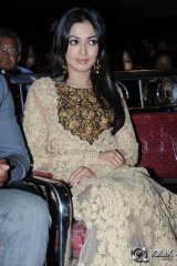 Catherine Tresa at Erra Bassu Movie Audio Launch